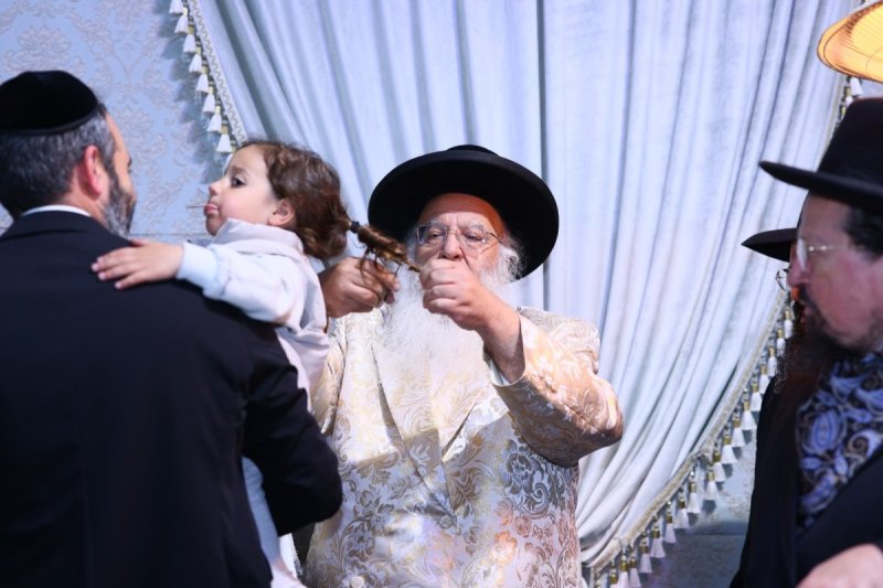 ים לביא
