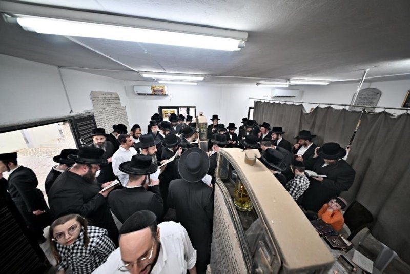 יהושע פרוכטר