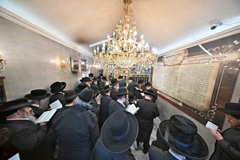 יהושע פרוכטר