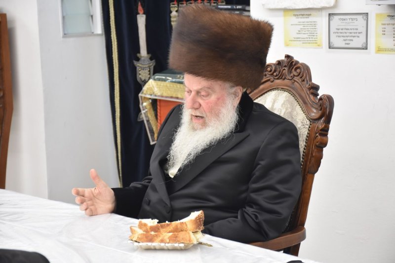 יהודה פרקוביץ