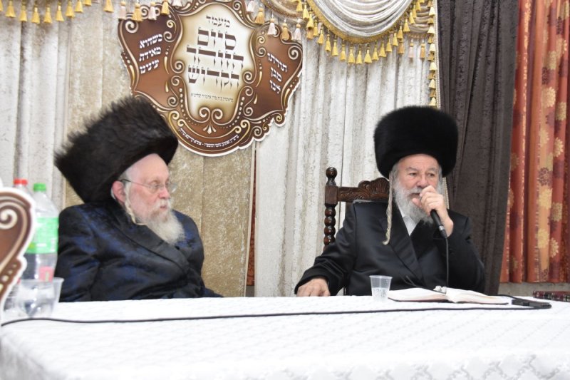 יהודה פרקוביץ