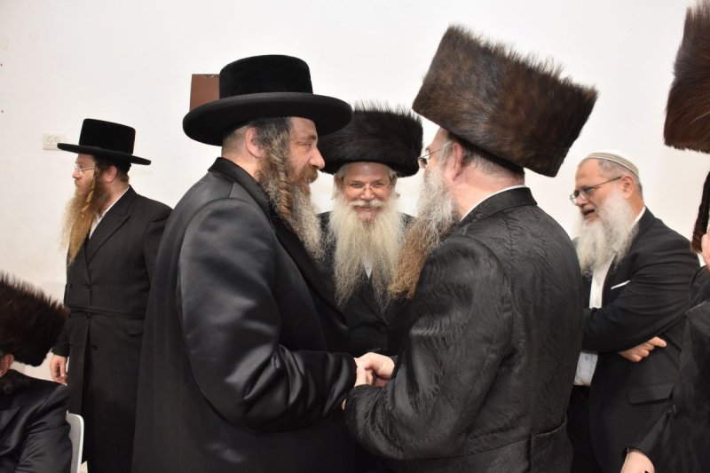 יהודה פרקוביץ