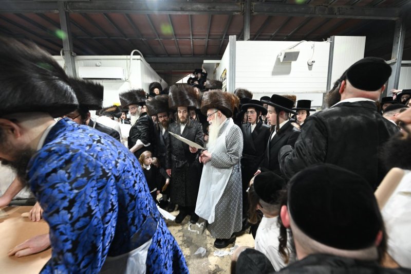 משה גולדשטיין