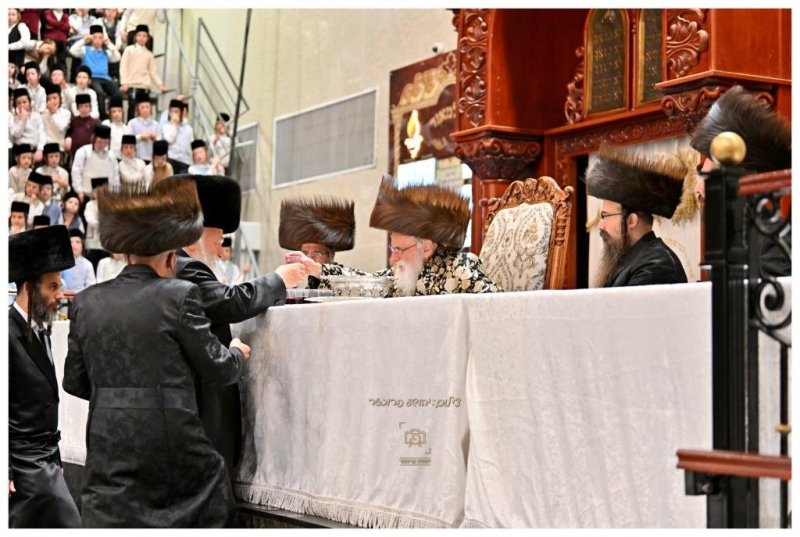 יהושע פרוכטר
