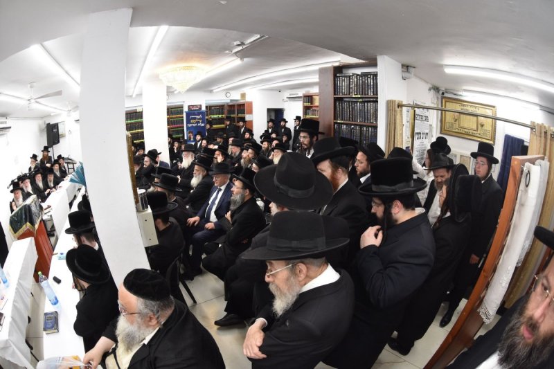 יהודה פרקוביץ