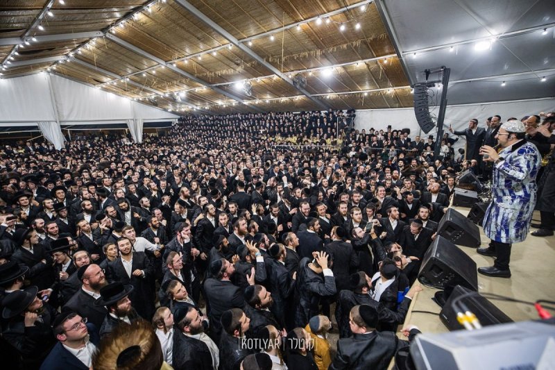 מענדי קוטלר