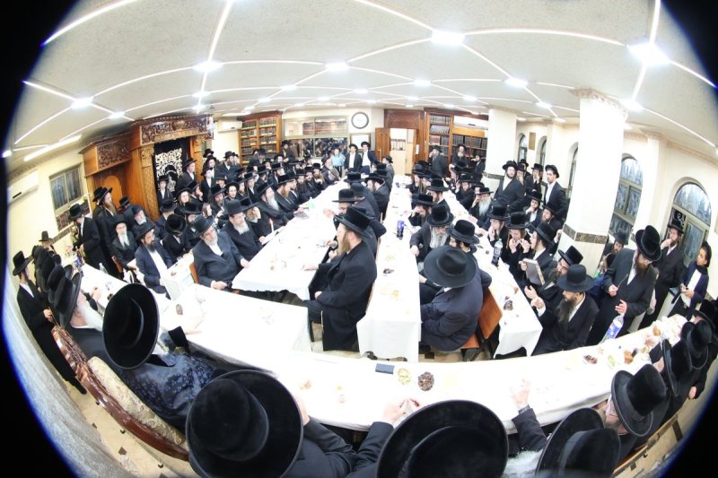 שלומי טריכטר