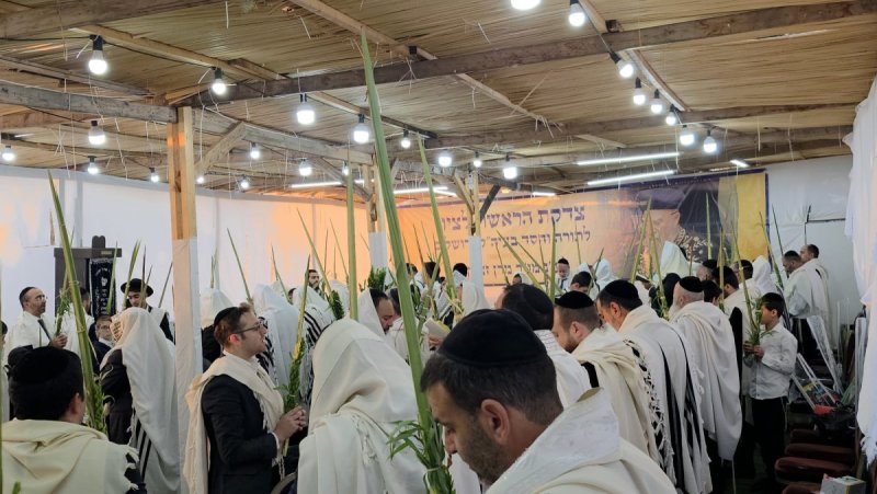 באדיבות המצלם