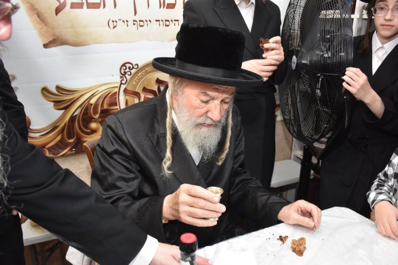 יהודה פרקוביץ