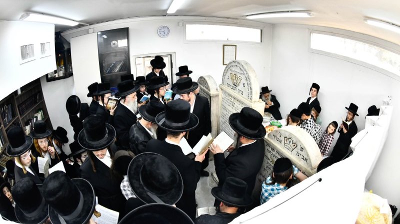 שוקי לרר