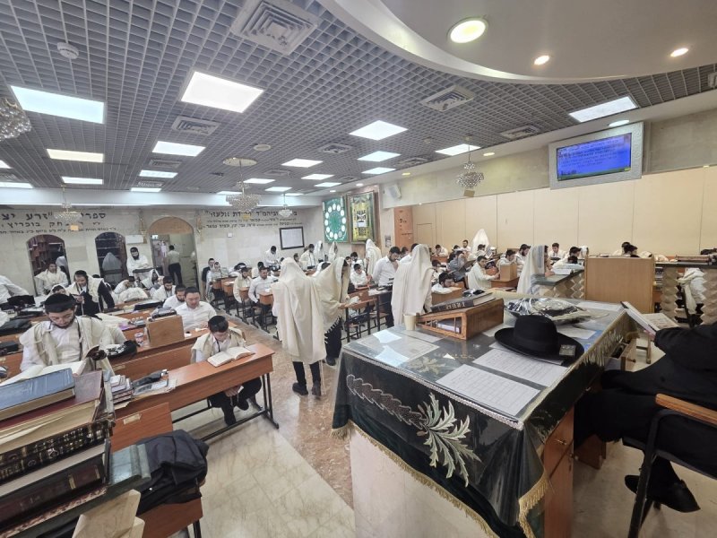 באדיבות המצלם