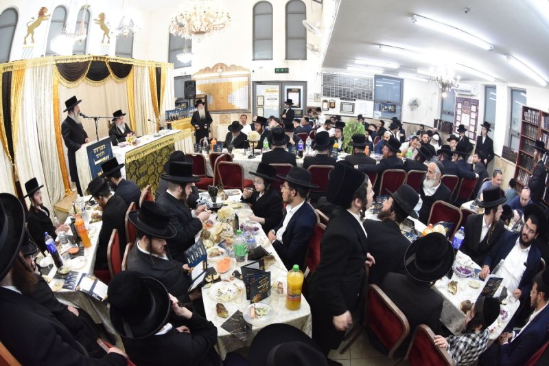 יהודה פרקוביץ