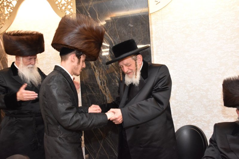 יהודה פרקוביץ