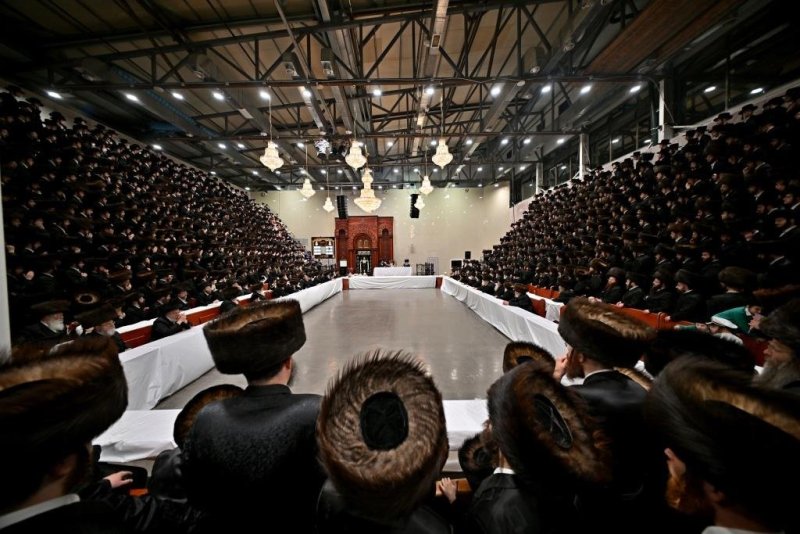 יהושע פרוכטר