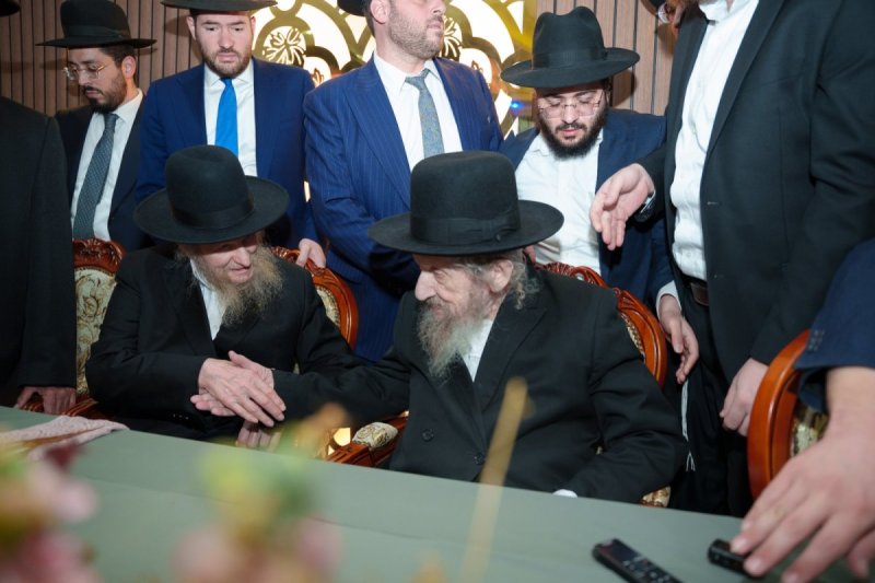 דניאל נפוסי ומאיר זלזניק