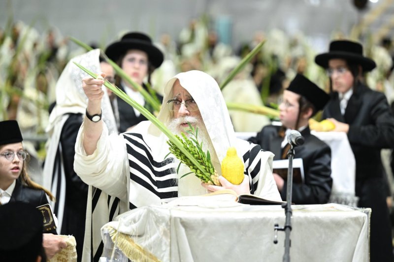 משה גולדשטיין