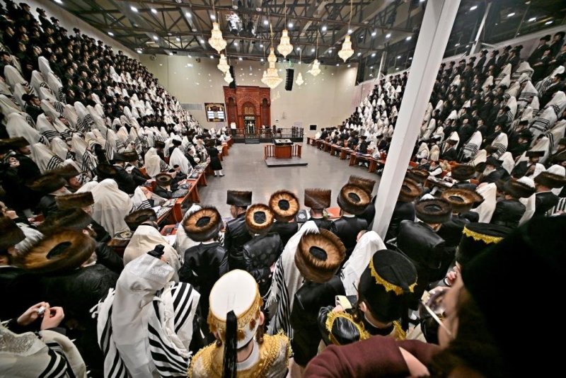 יהושע פרוכטר