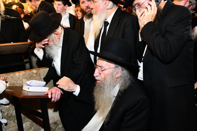 שוקי לרר