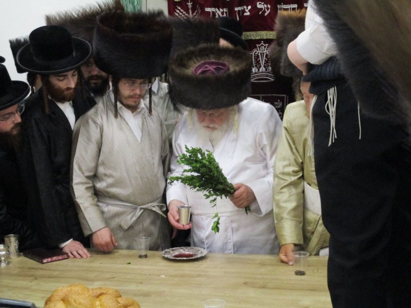 באדיבות המצלם