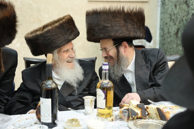 שלומי טריכטר