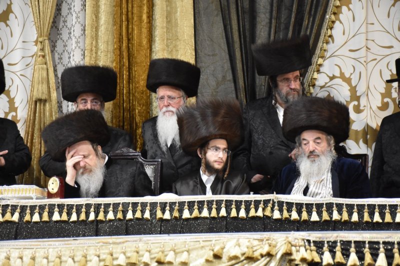 יהודה פרקוביץ