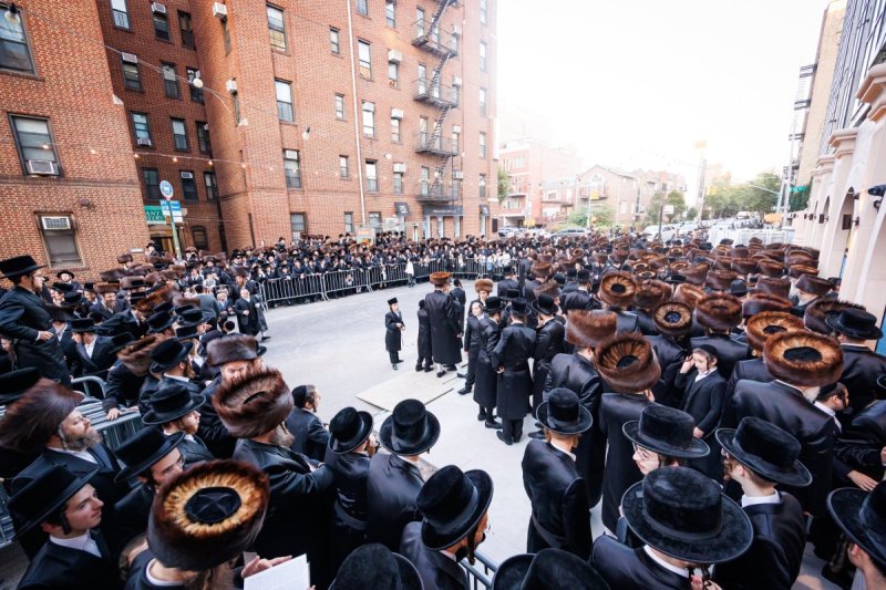 האחים לאנטשעווסקי ואושי וויינגארטן