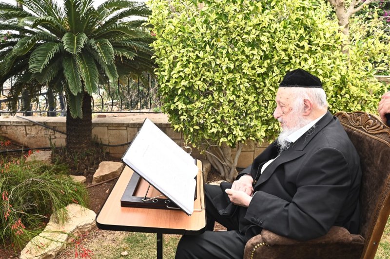 שוקי לרר