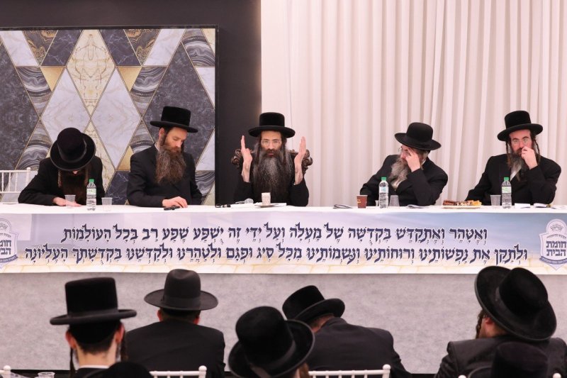 צ. י.