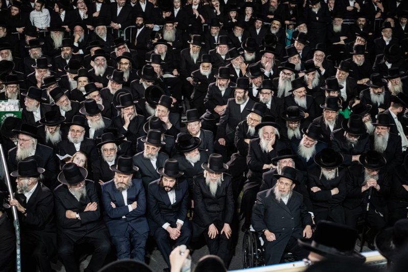 י. שטיין, שלום קליין ושלום שוורץ