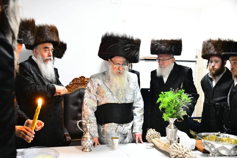 שוקי לרר