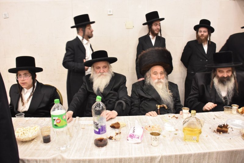 יהודה פרקוביץ