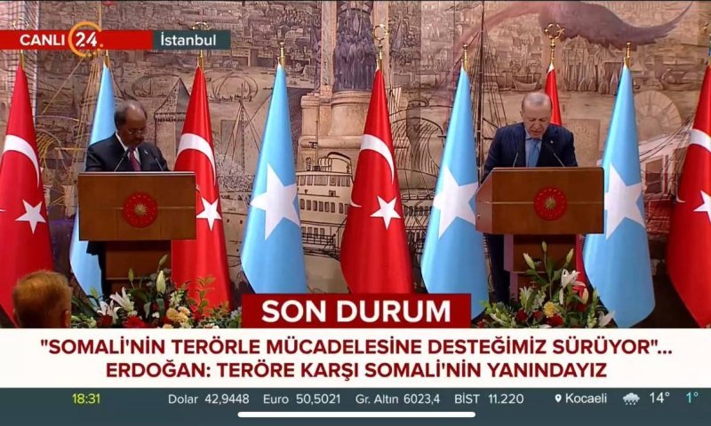 ארדואן לצד נשיא סומליה: "דמם של 71,000 פלסטינים על ידי ישראל"