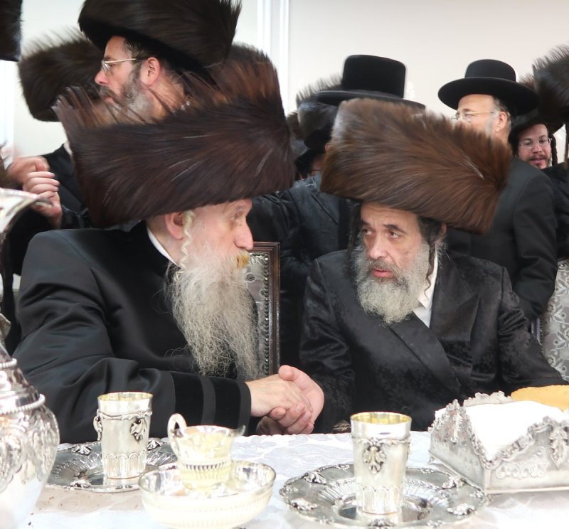 שימי פ.