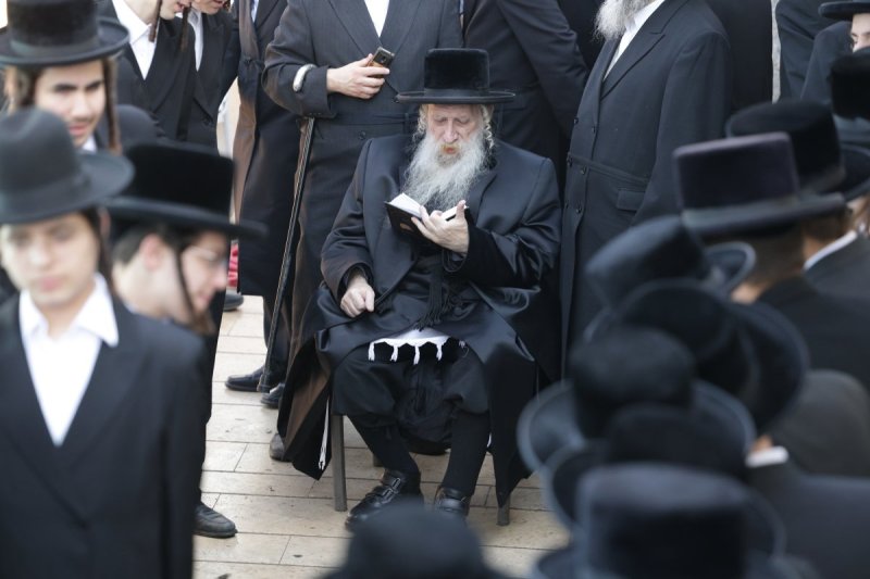 דוד כהן
