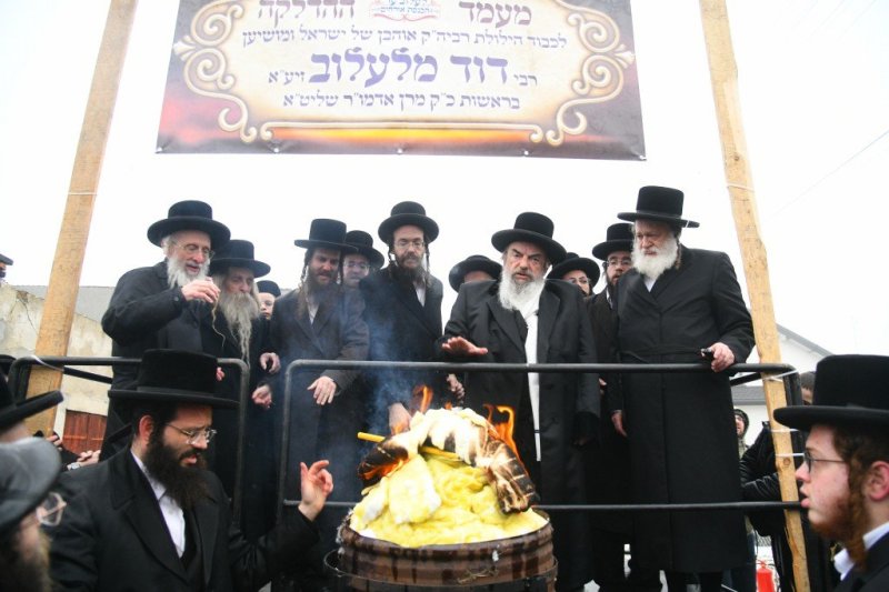 ארי קופרשטוק