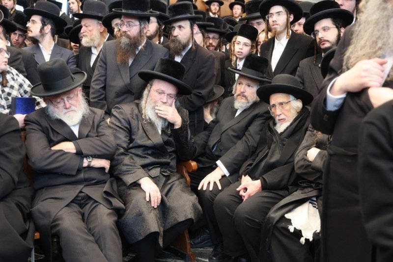 שלומי טריכטר