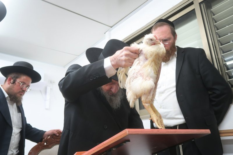 מ. אדלר
