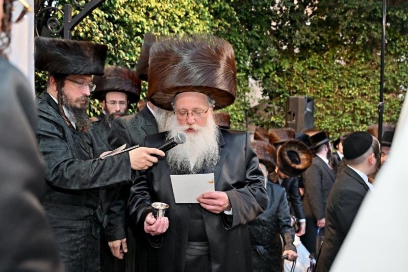 יהושע פרוכטר