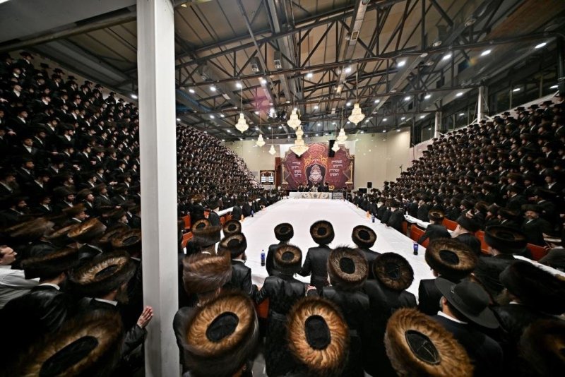 יהושע פרוכטר