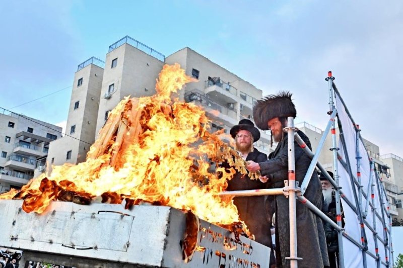 יהושע פרוכטר