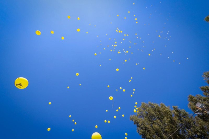 דניאל נפוסי