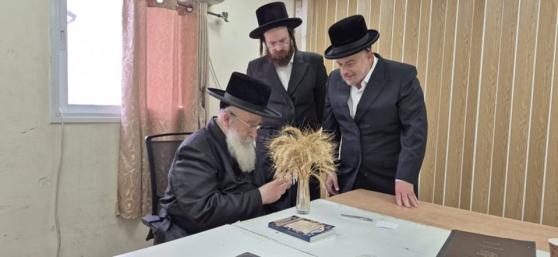 שוקי לרר