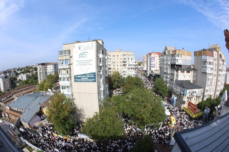 יהודה וויס