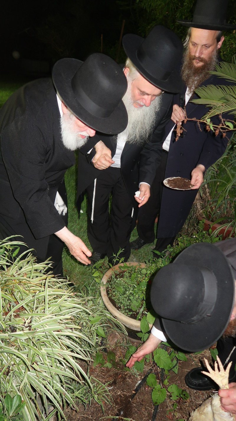 דברי חמד