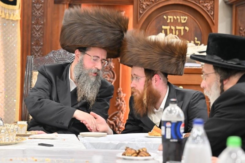 יהושע פרוכטר