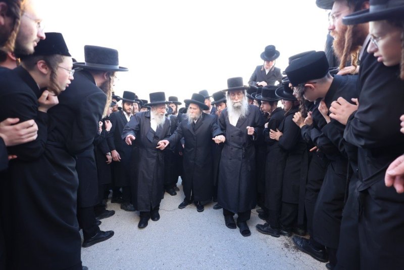 שלומי טריכטר