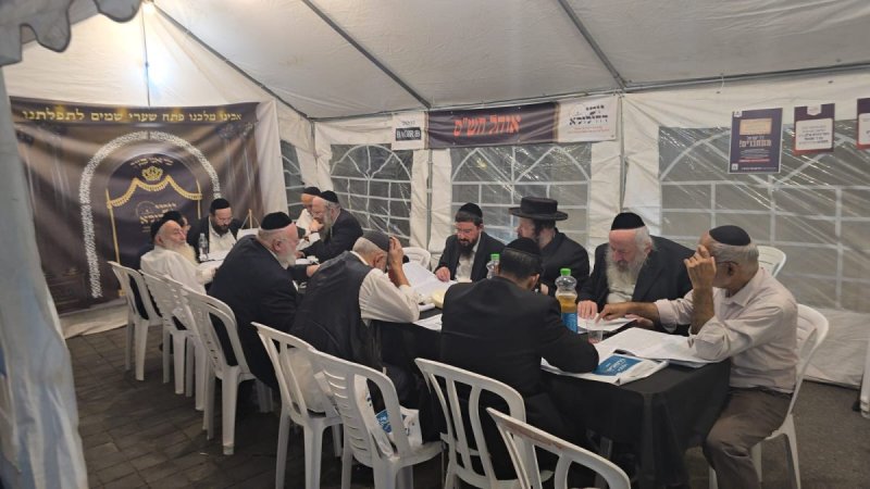 אלחנן קוטלר