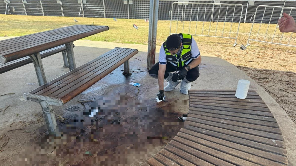 דוברות זק"א