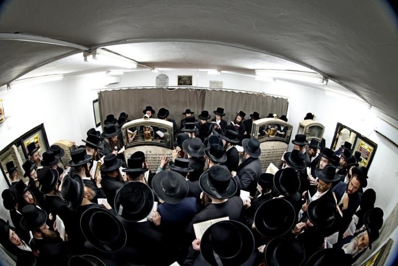 יהושע פרוכטר