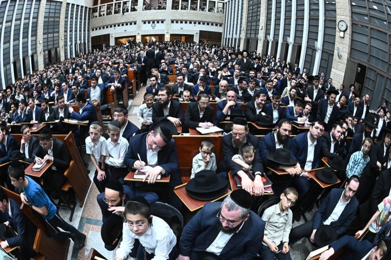 שוקי לרר